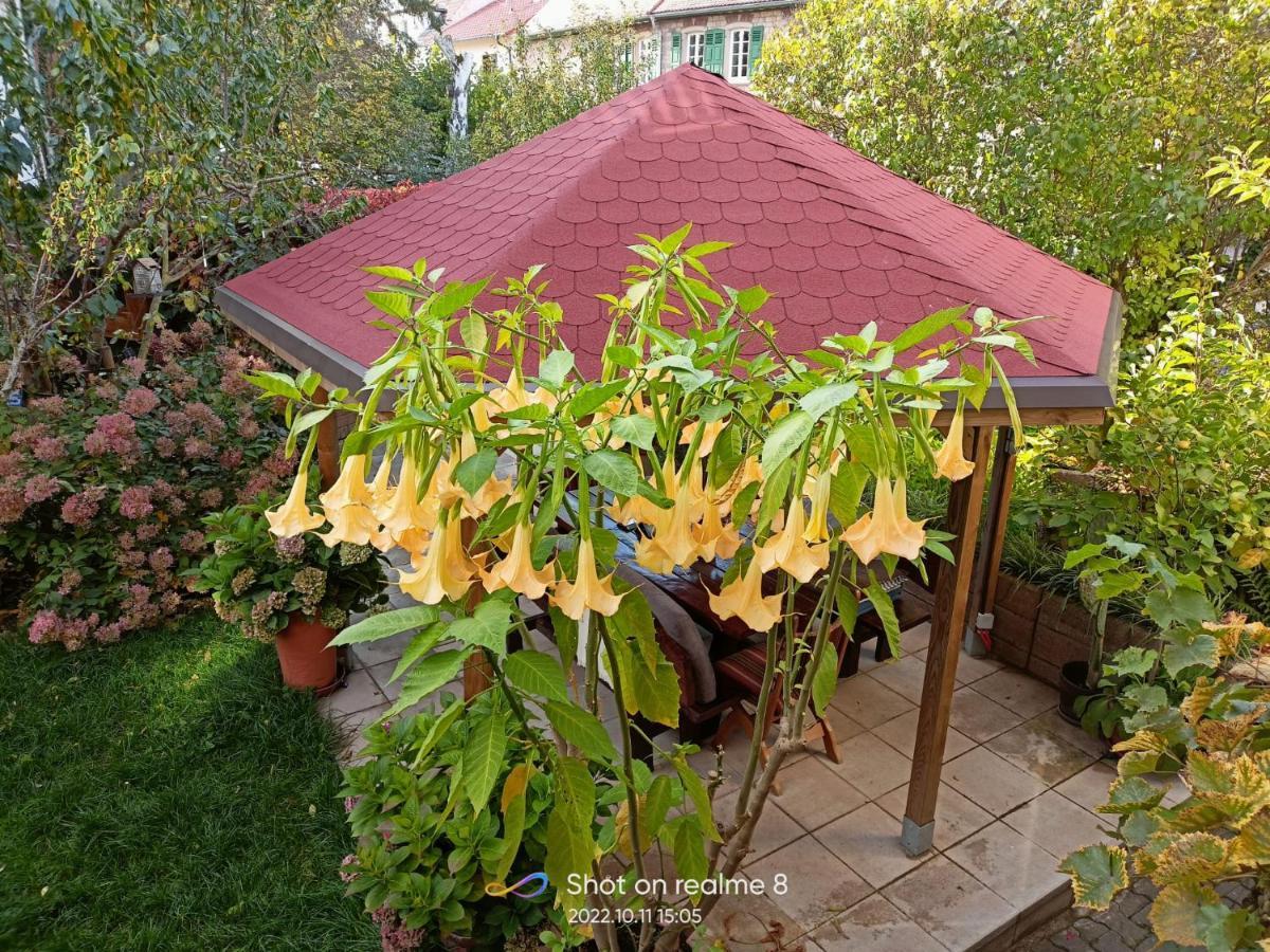 Urlaub mit Charme in der kleinsten Stadt der Pfalz. Obermoschel Exterior foto