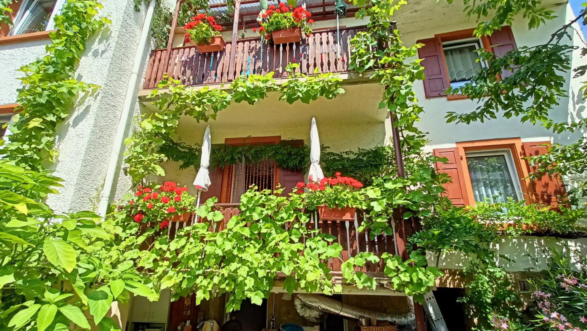Urlaub mit Charme in der kleinsten Stadt der Pfalz. Obermoschel Exterior foto