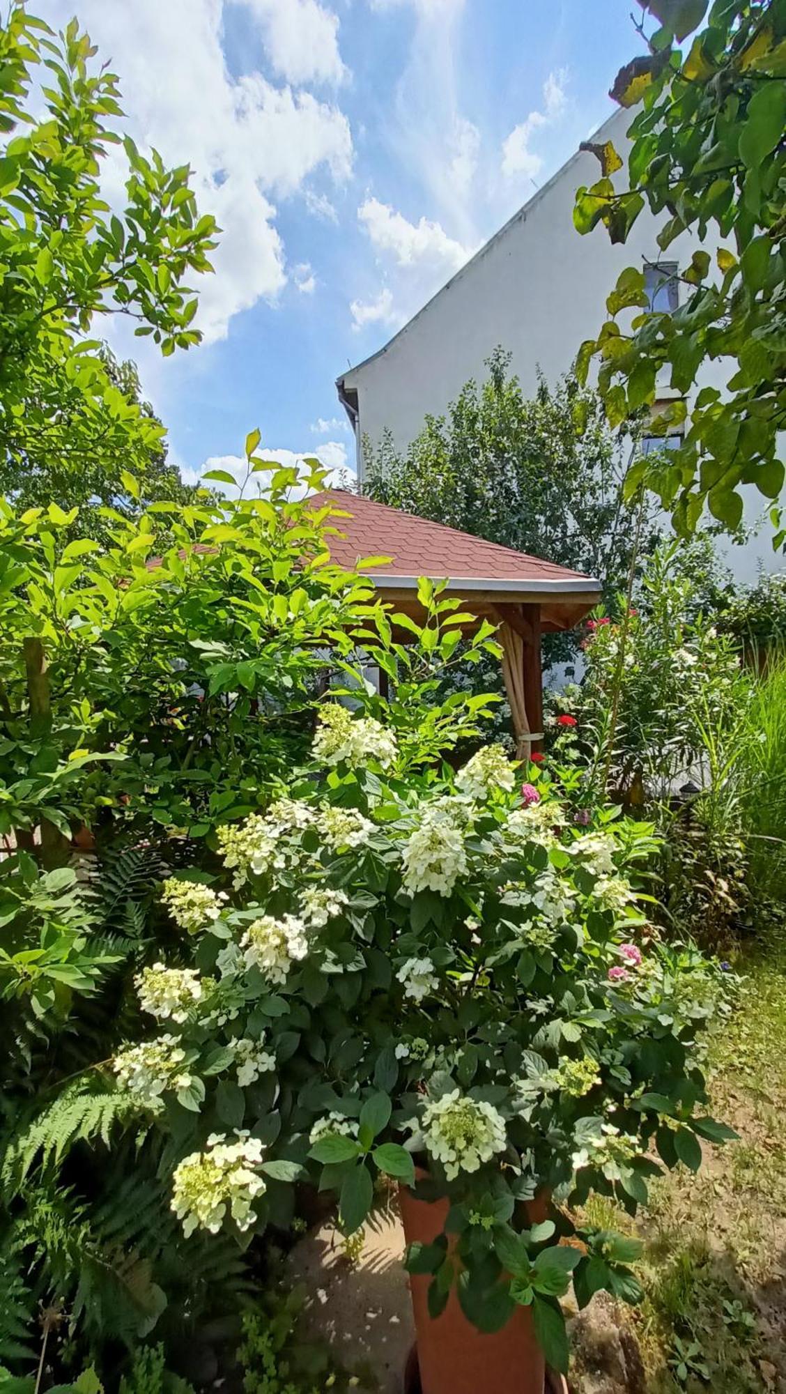 Urlaub mit Charme in der kleinsten Stadt der Pfalz. Obermoschel Exterior foto